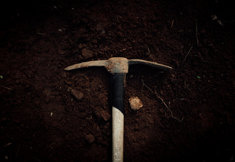 Essential Hand Tools Every Beginner Woodworker Needs