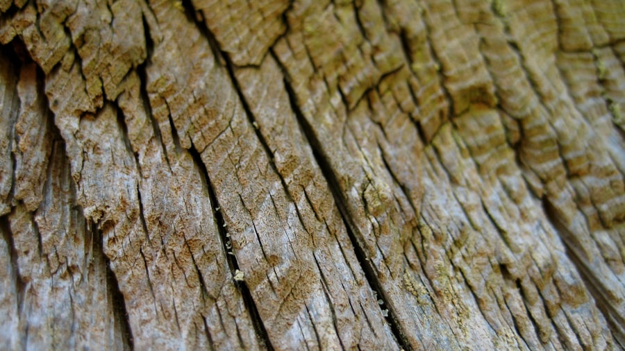 Winterizing Your Outdoor Woodworking Projects: Protection Tips