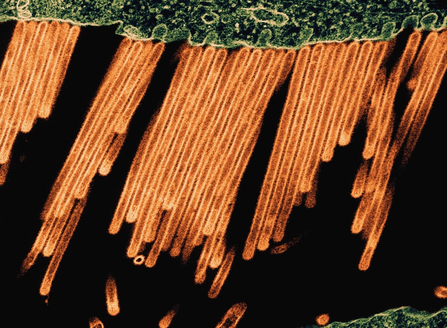 Wood Grain Direction: Why It Matters And How To Read It