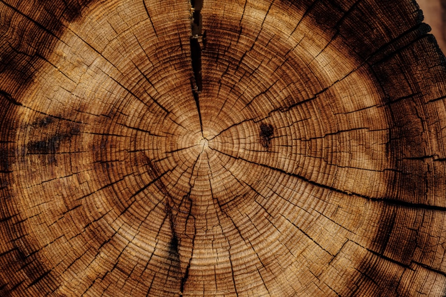Understanding Wood Movement And How To Plan For It