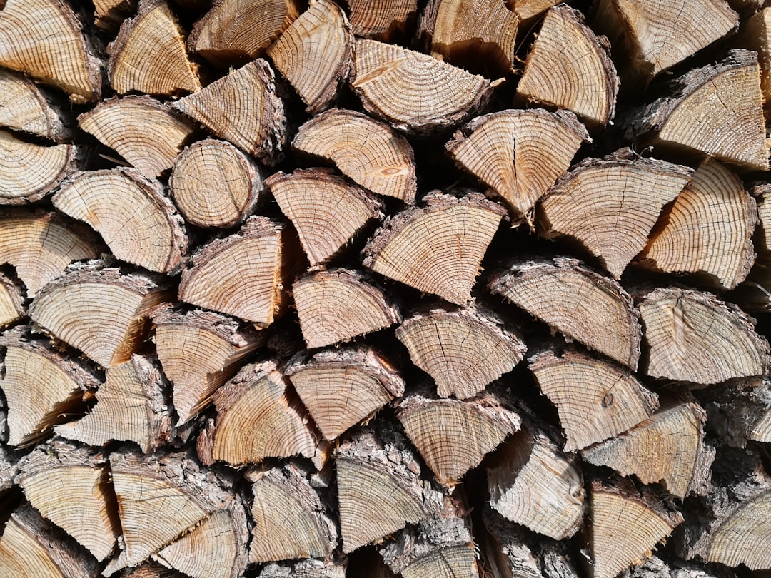 A close-up view of a stack of firewood, showing the cut ends of logs with visible tree rings and rough bark, neatly arranged in a pile.