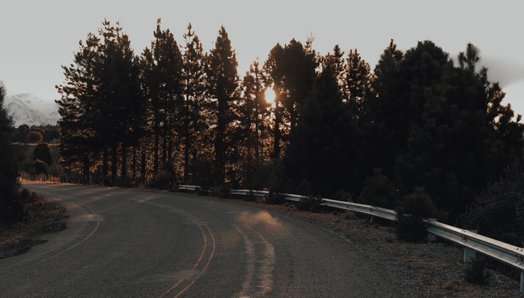 A winding road curves to the left beside a metal guardrail, with tall pine trees silhouetted against a golden sunset in the background. The scene is calm and serene.
