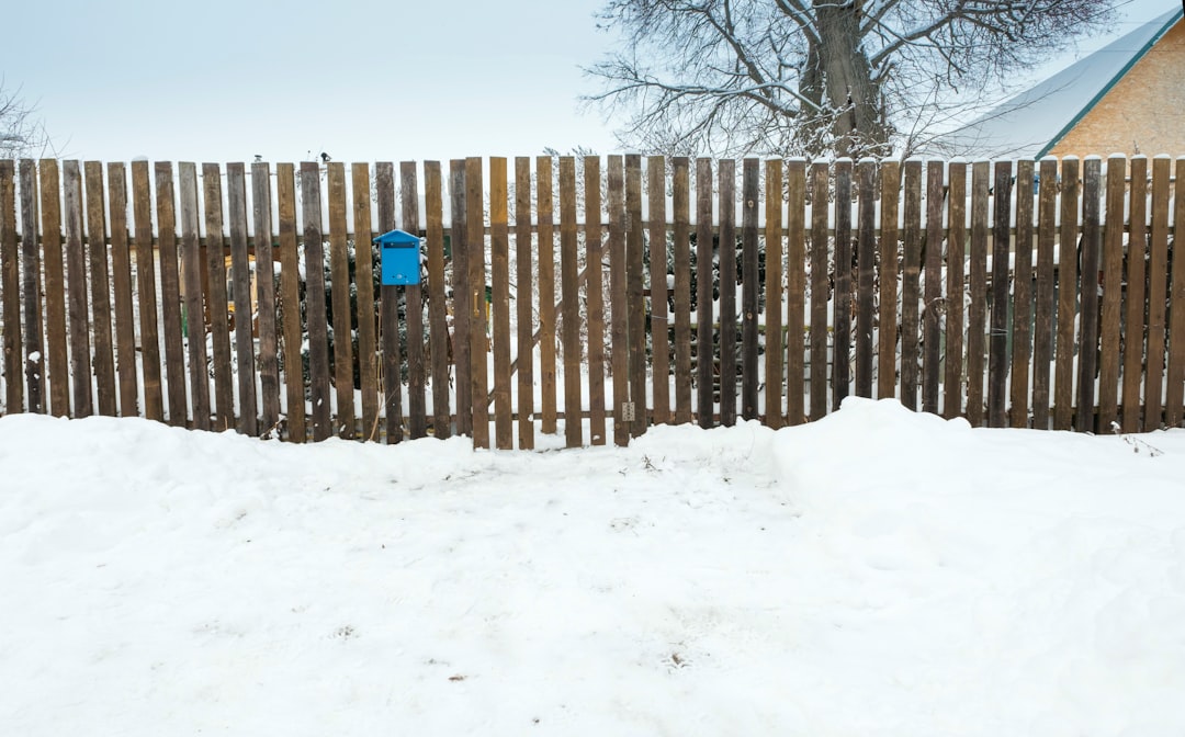 A wooden fence stands in a snowy yard with a blue mailbox attached to it. Snow covers the ground, and bare tree branches and part of a house are visible behind the fence.