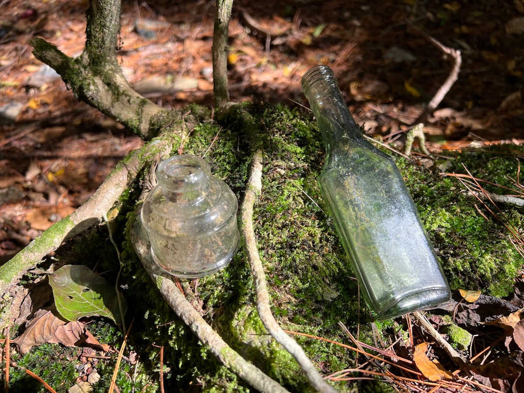 Two old glass bottles, one round and one tall, lie on a mossy rock in a sunlit forest, surrounded by tree roots, fallen leaves, and pine needles.