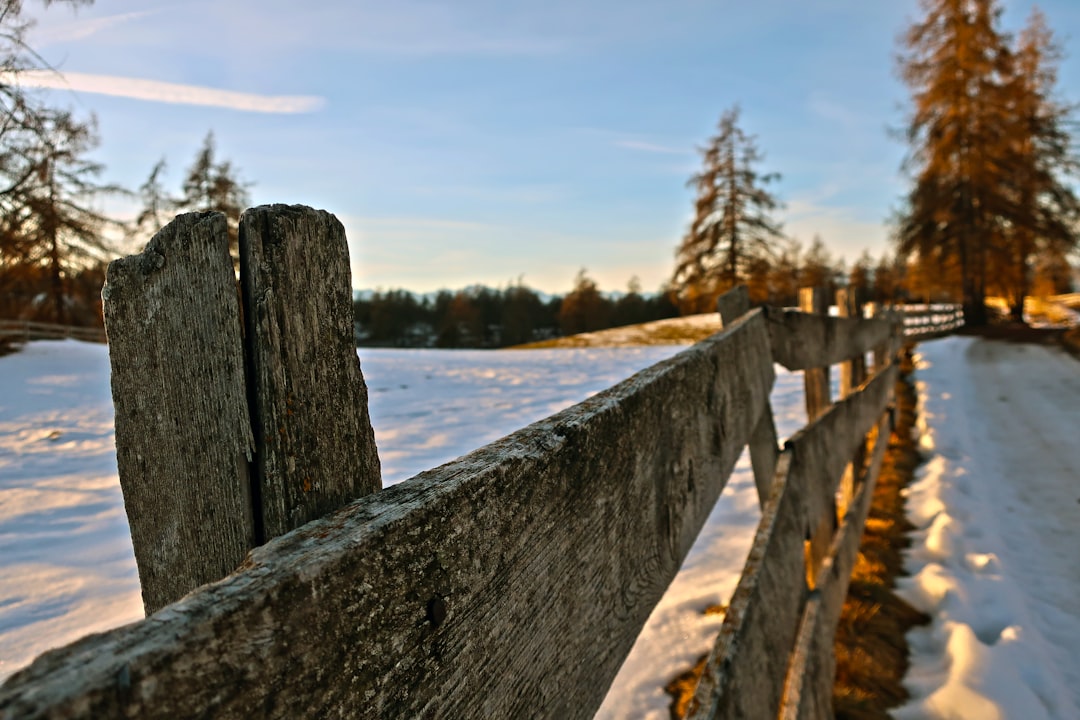 A close-up of a weathered wooden fence stretches through a snowy landscape at sunset, with leafless trees in the background and golden sunlight casting long shadows on the snow.