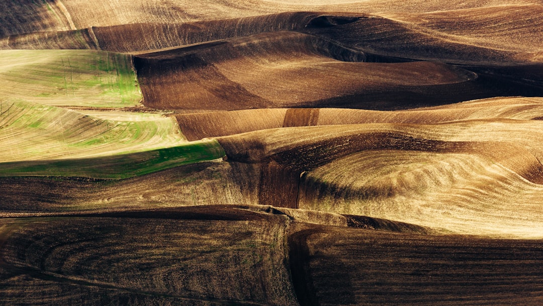 Aerial view of rolling farmland with curving, layered patterns in shades of brown and green, showing plowed fields and patches of crops creating a textured, abstract landscape.